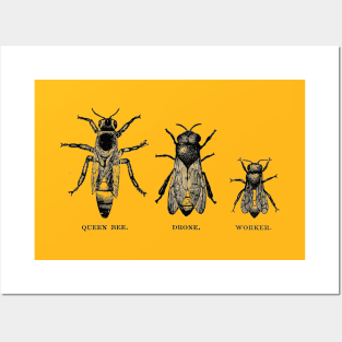 Queen Bee Family Posters and Art